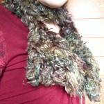 IMG_2774